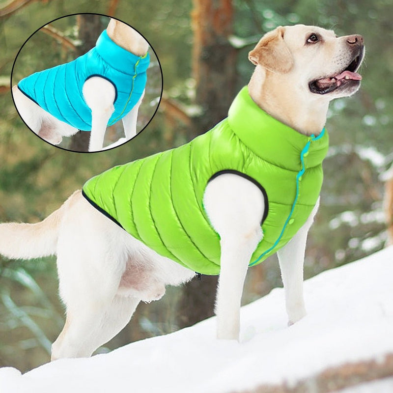 Colete Pet Alby™ Dupla-Face 3 Camadas | Roupa Para Cachorro