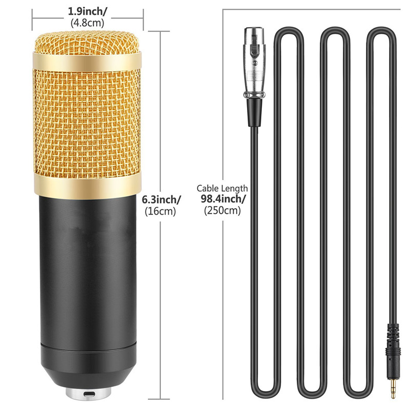 Microfone Estúdio Profissional Pop Filter Com Braço Articulado